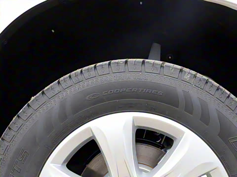 2020�� 2.0T �������������� 7��