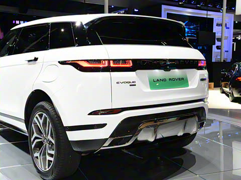 2021�� ����L P300e ������