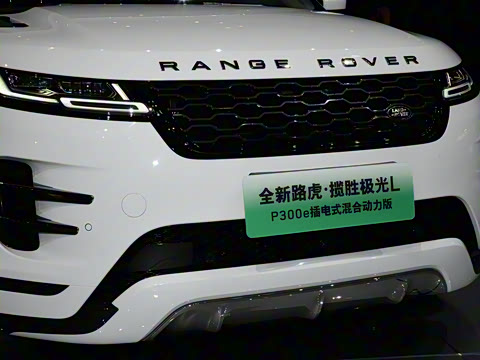 2021�� ����L P300e ������