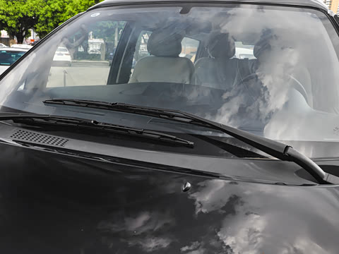 2021�� ���˰� ������ 7��