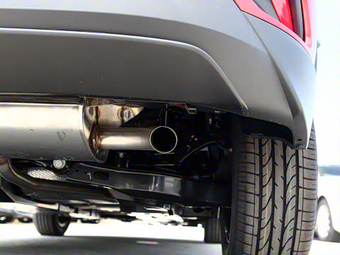 2021�� 2.0L ������