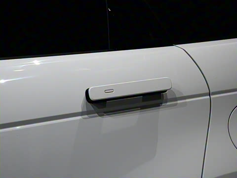 2021�� ����L P300e ������