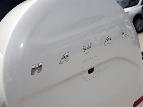 2020�� 2.0T �������������� 7��