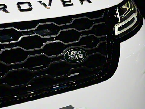 2021�� ����L P300e ������