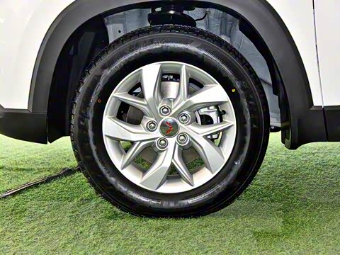 2018�� 1.5L �ֶ���׼�� ��V