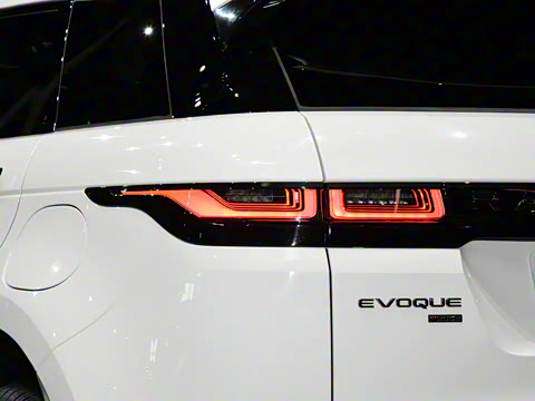 2021�� ����L P300e ������