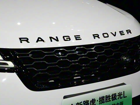 2021�� ����L P300e ������