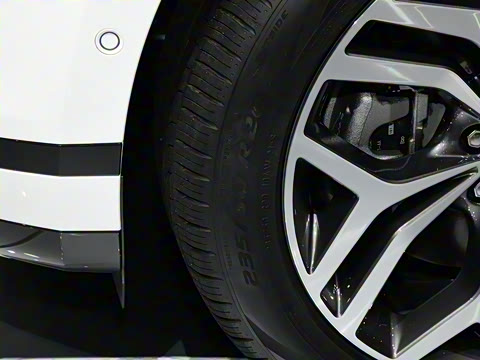 2021�� ����L P300e ������