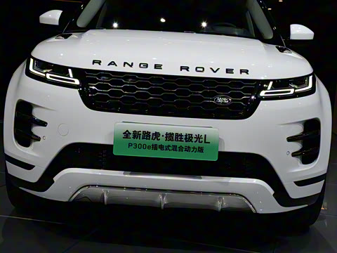 2021�� ����L P300e ������