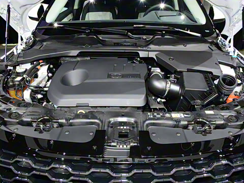 2021�� ����L P300e ������