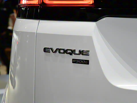 2021�� ����L P300e ������