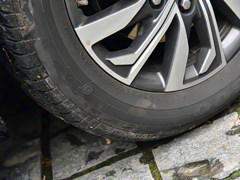 2021�� PLUS ����ʿ��