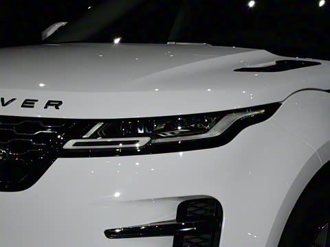 2021�� ����L P300e ������