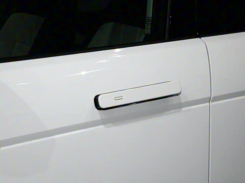 2021�� ����L P300e ������