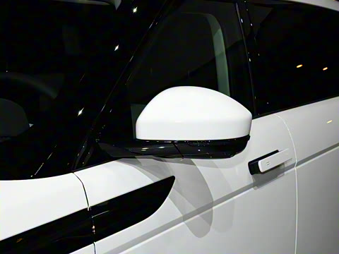 2021�� ����L P300e ������