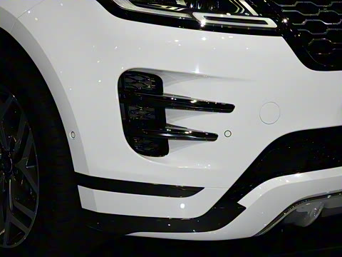 2021�� ����L P300e ������