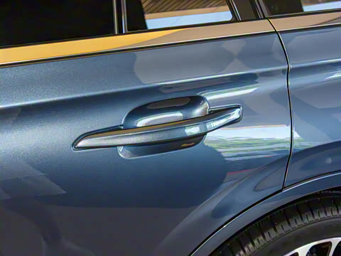 2021�� 3.0T V6 ������ͳ��