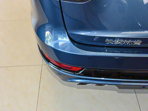 2021�� 3.0T V6 ������ͳ��