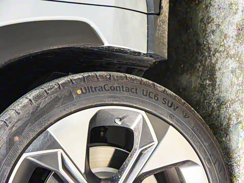 2021�� ������ 80 �����Ƽ���