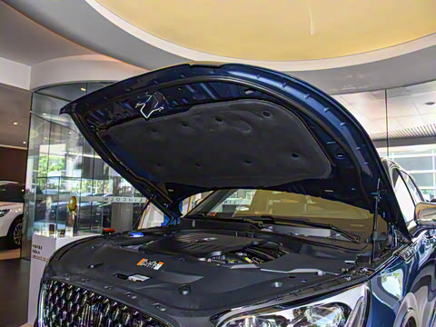 2021�� 3.0T V6 ������ͳ��