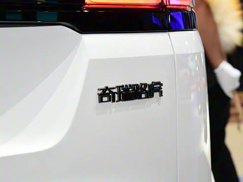 2021�� ����L P300e ������