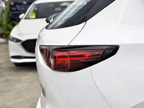 2021�� 2.5L �Զ���������ʿ