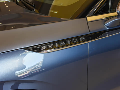 2021�� 3.0T V6 ������ͳ��