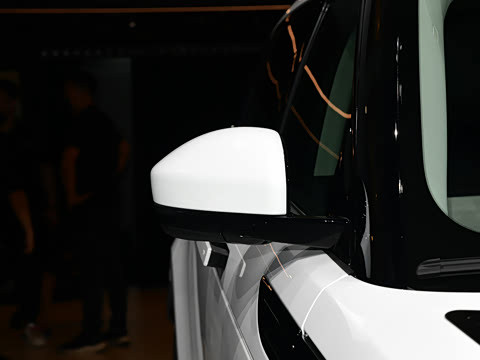 2021�� ����L P300e ������