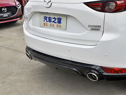 2021�� 2.5L �Զ���������ʿ