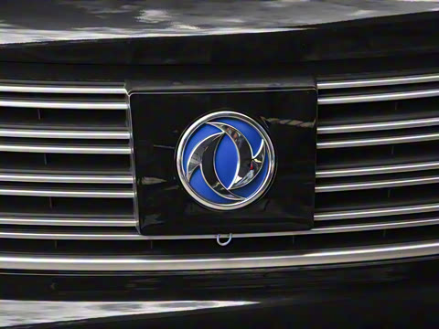 2021�� ���˰� ������ 7��