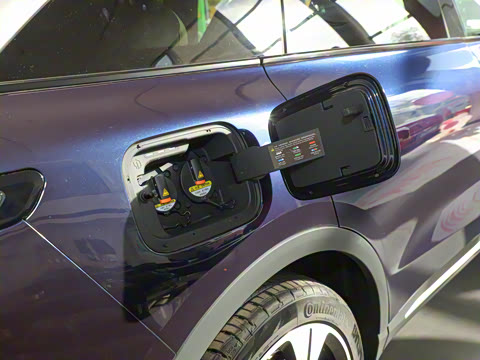 2021�� ������