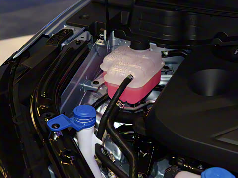 2021�� 1.5T �˶��� �콢��