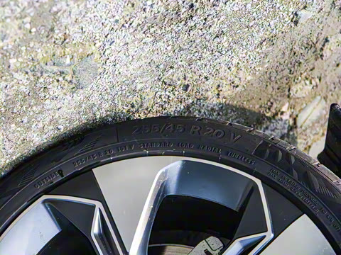 2021�� ������ 80 �����Ƽ���