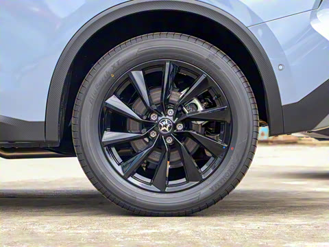 2021�� 260T ������