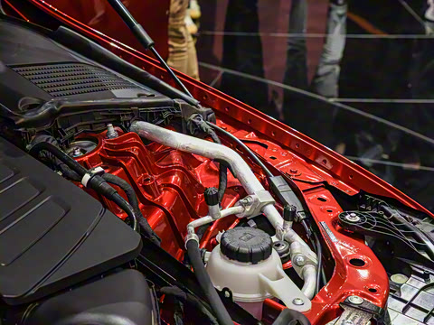 2022�� C 260 L �ҹ�˶���