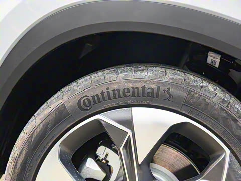 2021�� ������ 80 �����Ƽ���