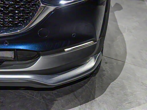 2021�� ����������