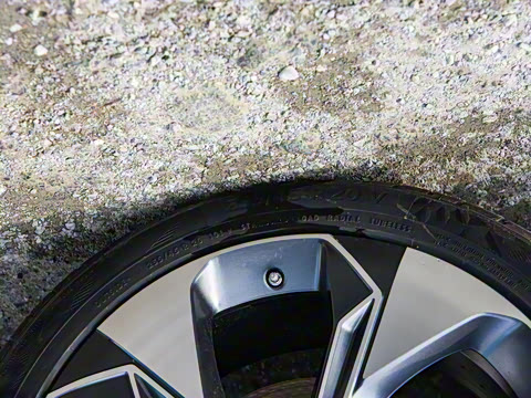 2021�� ������ 80 �����Ƽ���