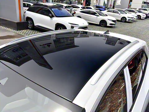 2021�� ������PURE+������