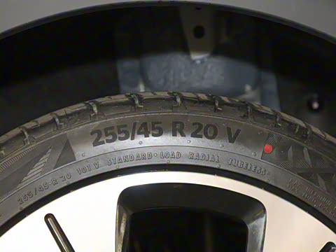 2021�� ������