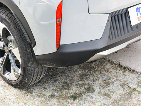 2021�� ������ 80 �����Ƽ���