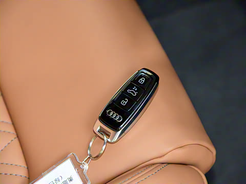 2022�� 55 TFSI quattro S-line edition one���а�