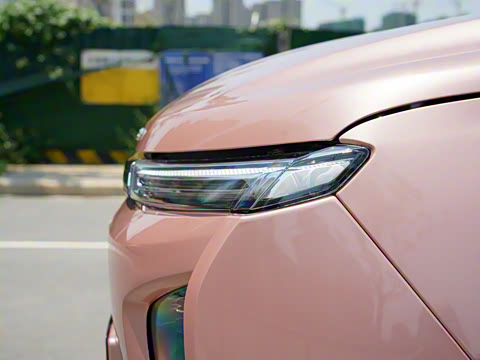 2021�� ������