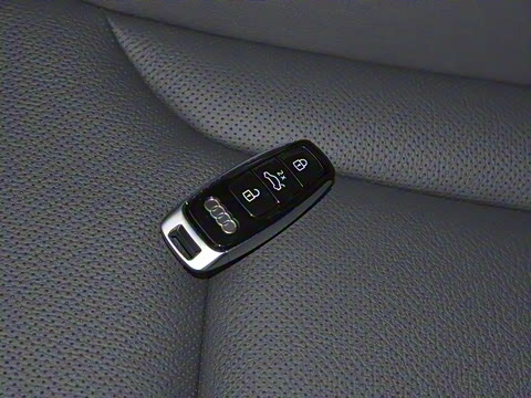 2022�� 55 TFSI ����������