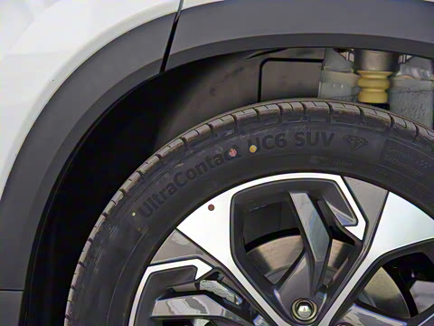 2021�� LITE+ ������