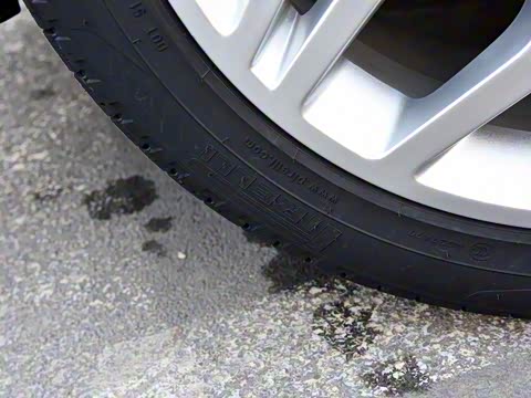 2017�� 2.0T HSE DYNAMIC �¶���