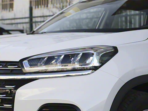 2021�� ������ 290TGDI �Զ�����