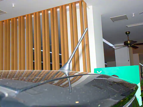 2021�� ������������ �������