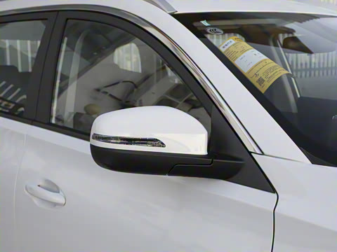 2021�� ������ 390TGDI �Զ�����