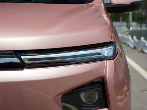 2021�� ������